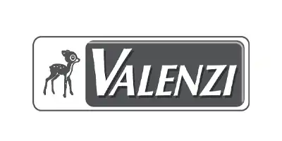 Valenzi-Logo in Graustufen